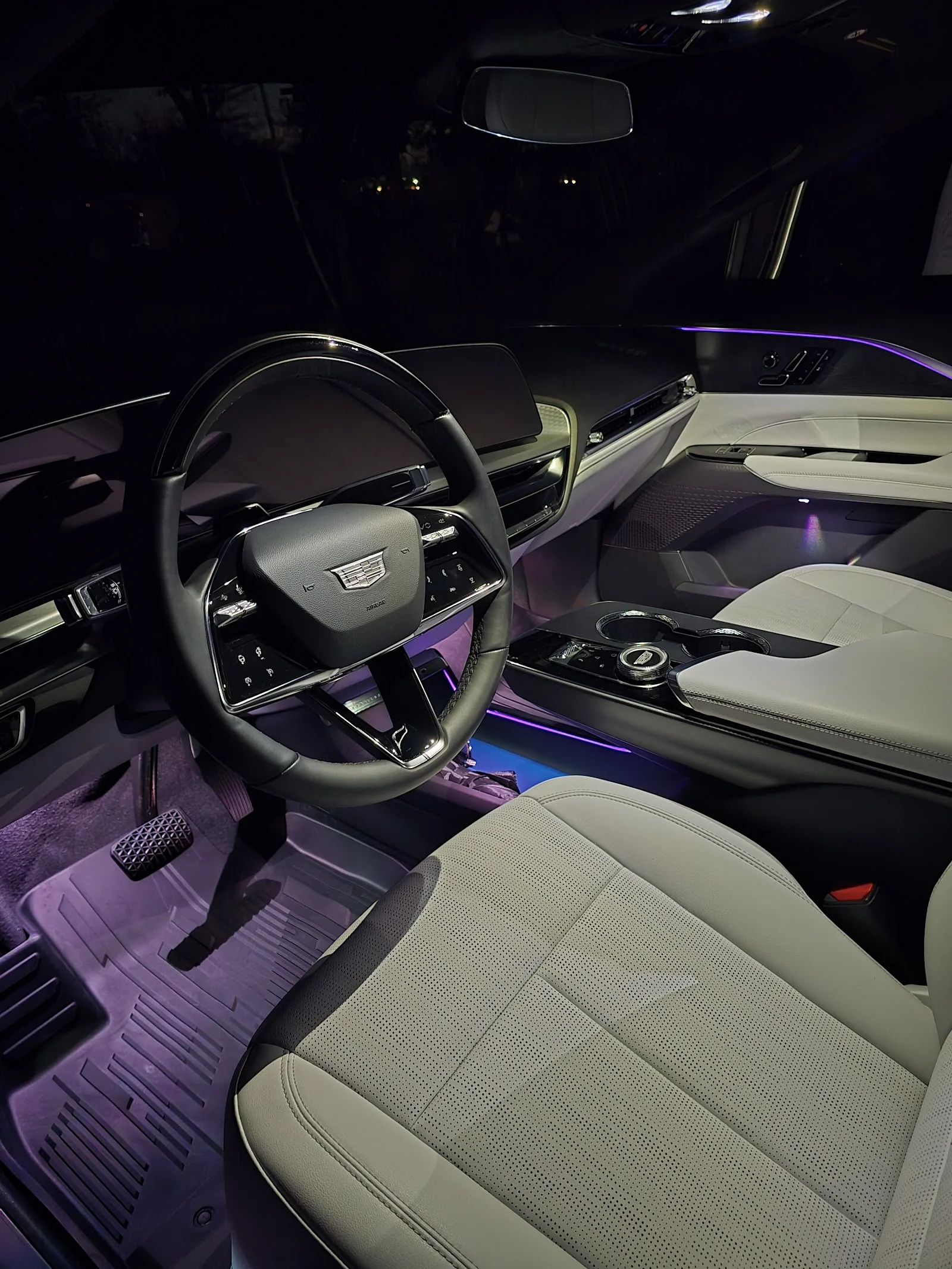 Interior detail and clean cabin by Platinum Precision Detail